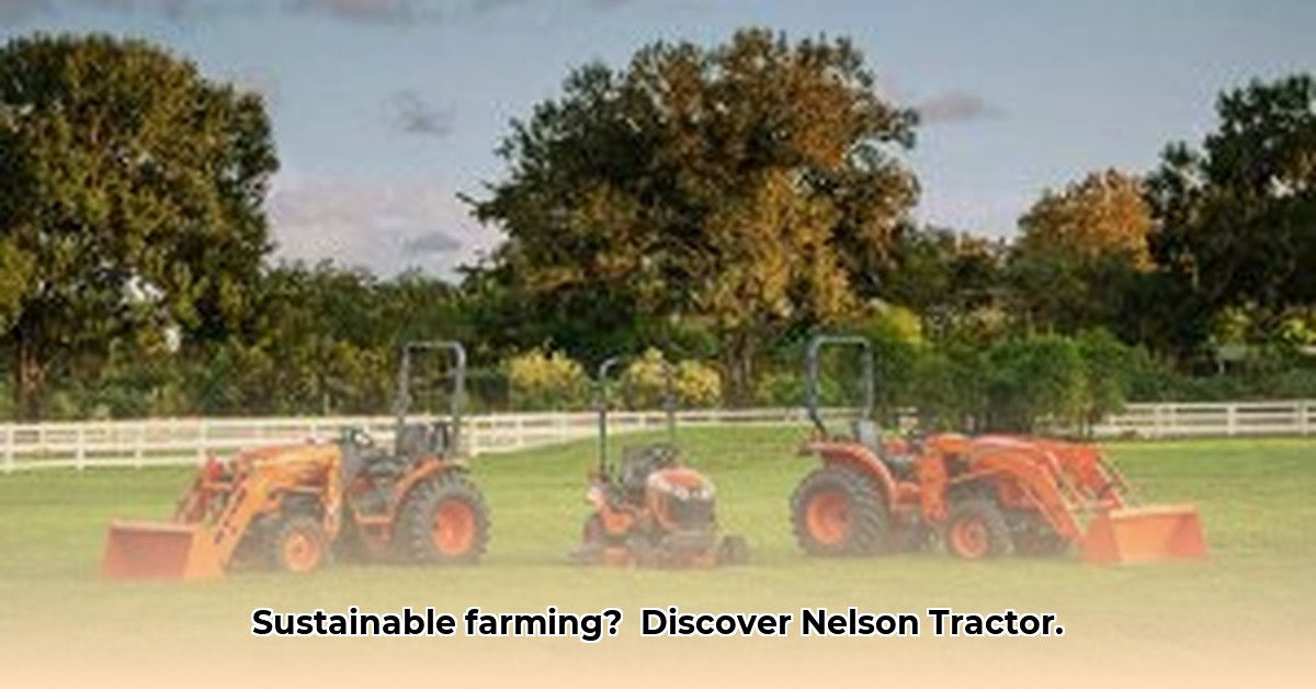 nelson-tractor-blairsville-ga